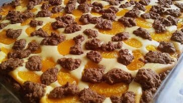 Mandarinen Zupfkuchen