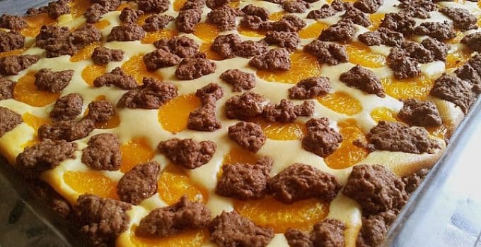 Mandarinen Zupfkuchen