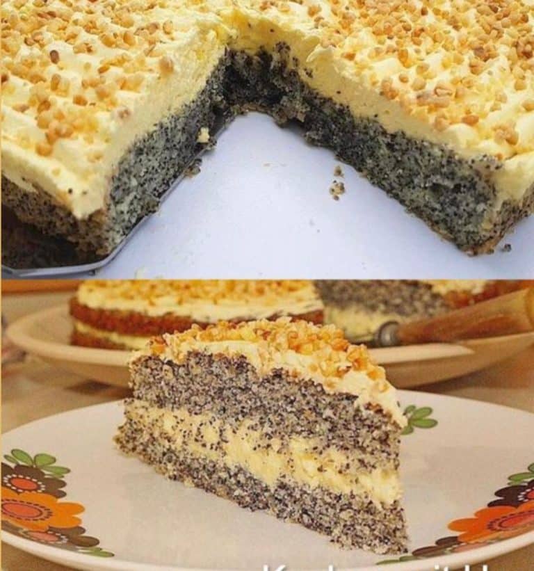 MOHNKUCHEN OHNE BODEN MIT PARADIESCREME UND HASELNUSSKROKANT