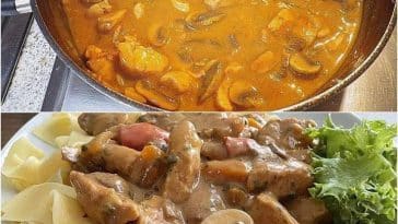 Puten-Sahne-Gulasch auf Bandnudeln