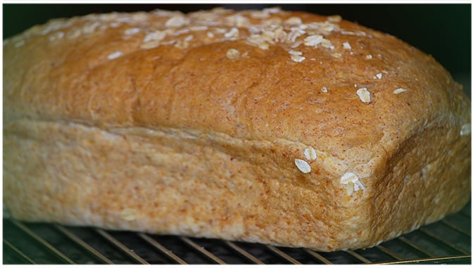 DINKELVOLLKORNBROT MIT KÖRNERN, 5 TAGE SPÄTER, IMMER NOCH FRISCH UND SAFTIG WEICH