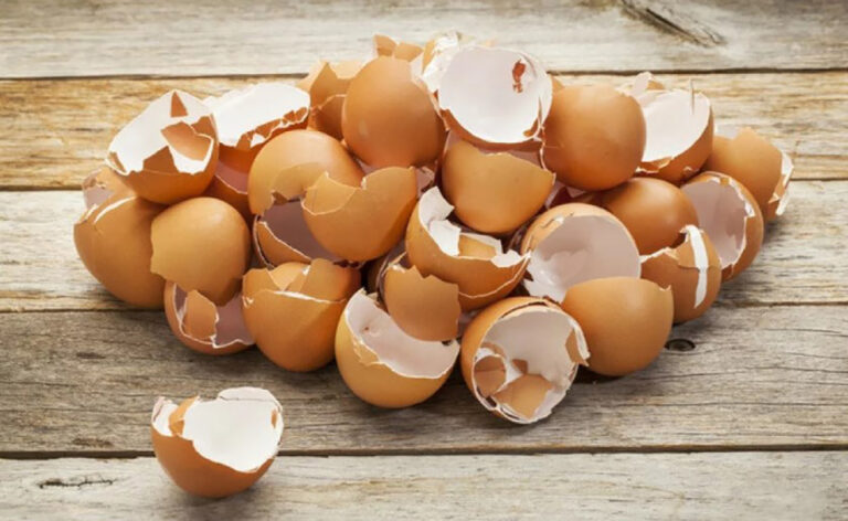 Eierschale: ein unerwarteter Helfer im Garten