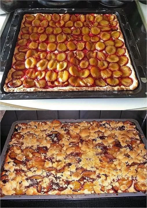 Köstlicher Pflaumenkuchen mit Streuseln frisch aus dem Ofen