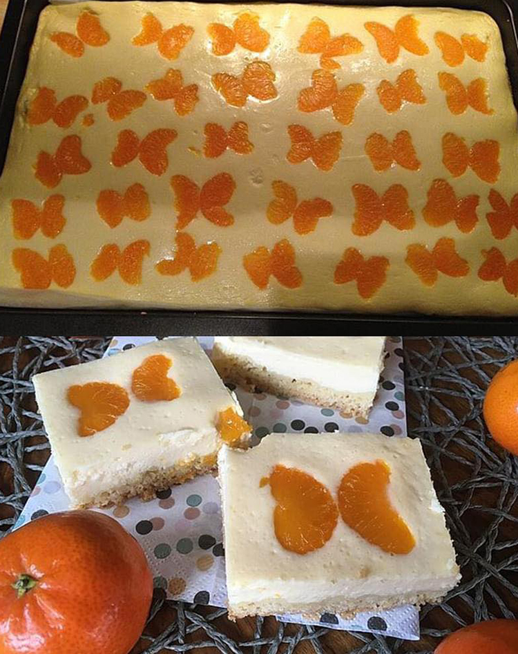 schmeckt garantiert allen! Käse-Mandarinen-Blechkuchen