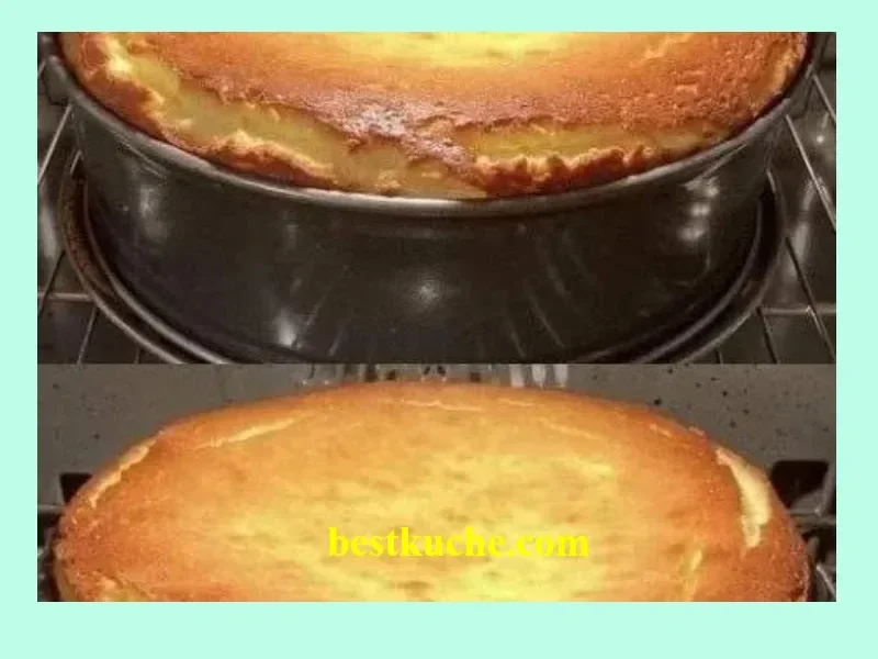 Ultracremiger Käsekuchen mit frischem Obst und Sahne