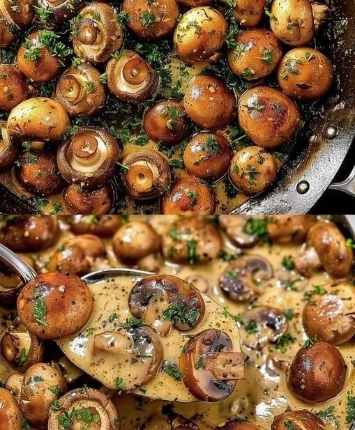 Knoblauch Champignons in cremiger Rahmsoße serviert auf einem Teller