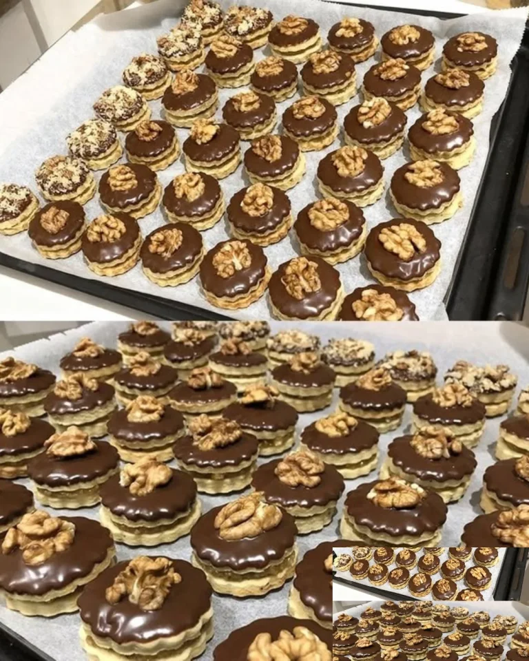 Panoramablick auf die malerische Stadt Ischler in Österreich