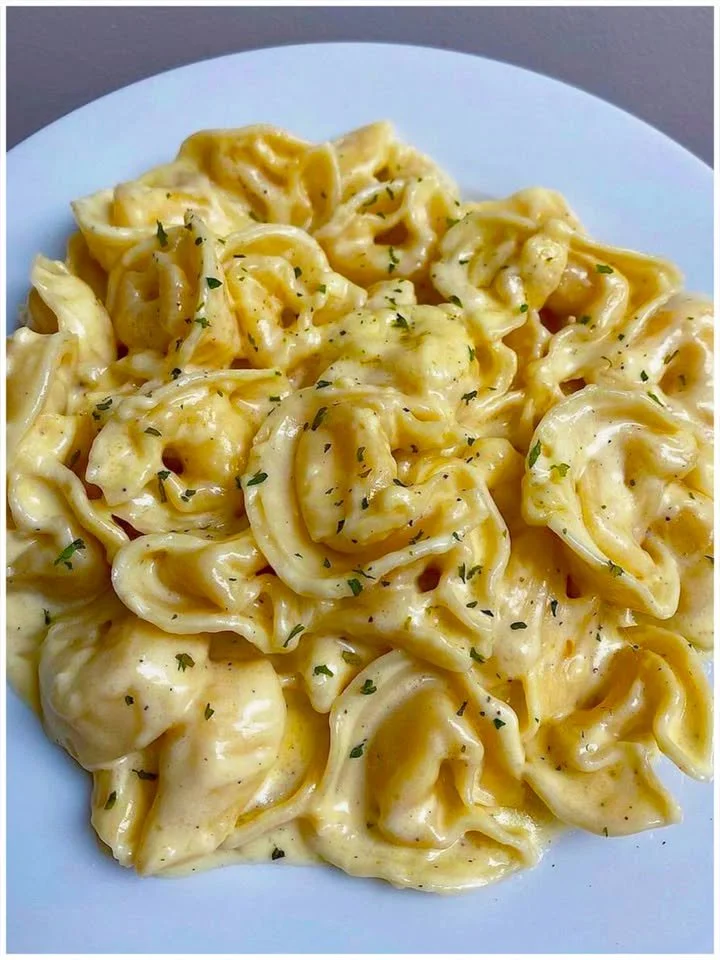 Cremige Tortellini mit Sahne auf einem weißen Teller serviert